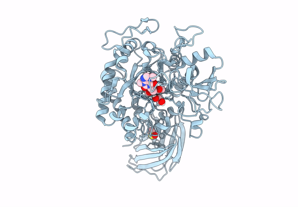 8OSE image