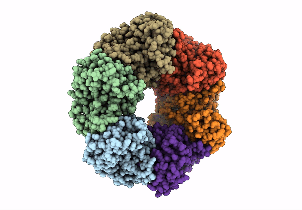 8OSG image