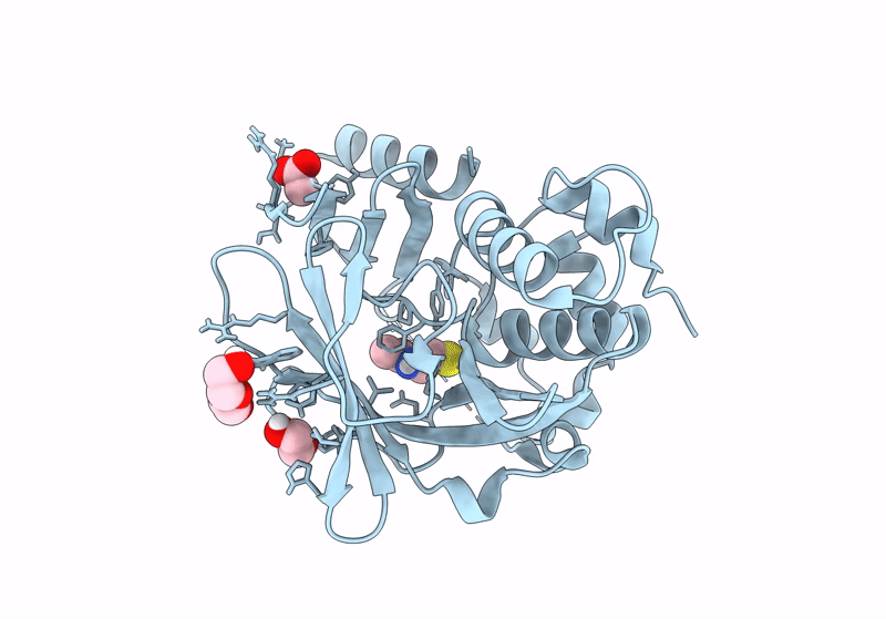 8OSV image