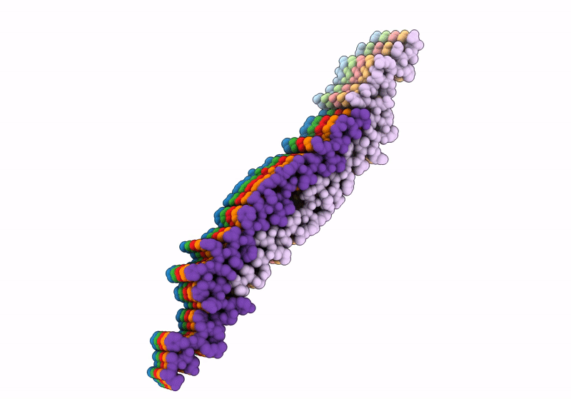 8OVK image