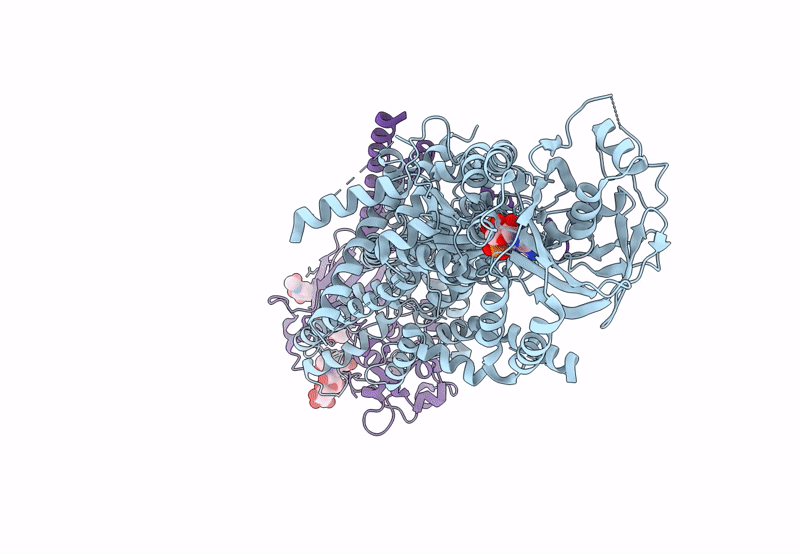 8OX4 image
