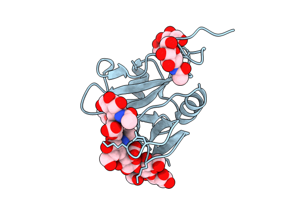 8OXD image