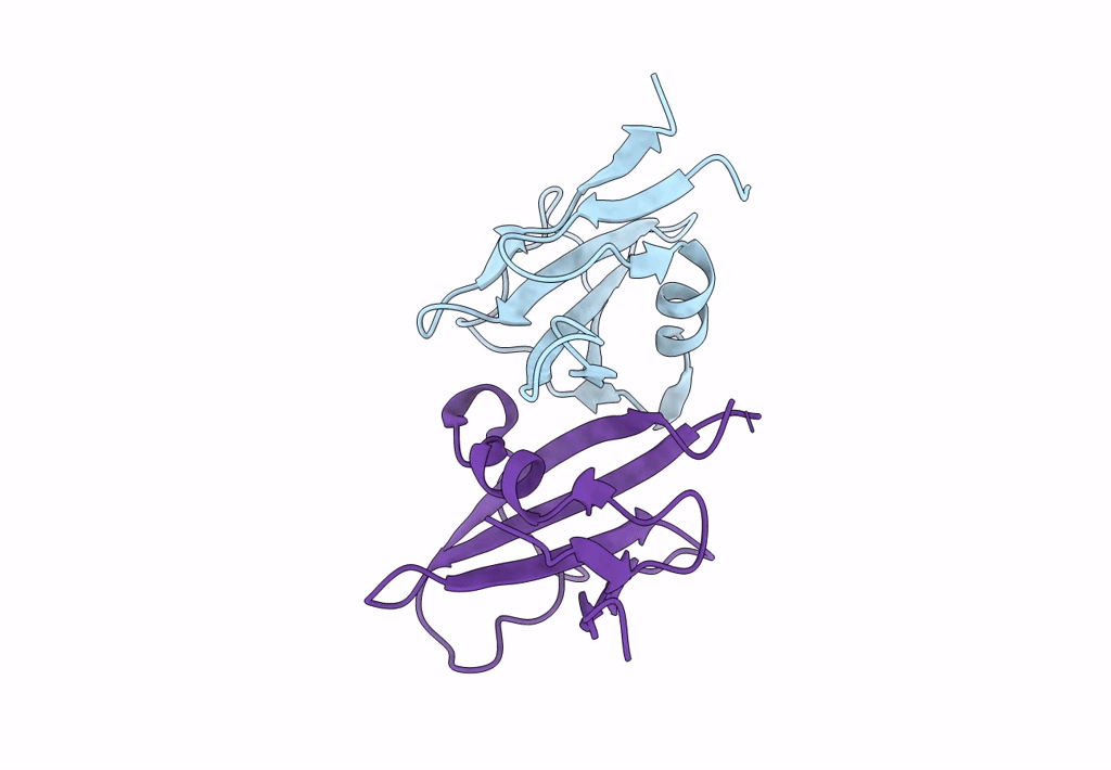 8OXH image