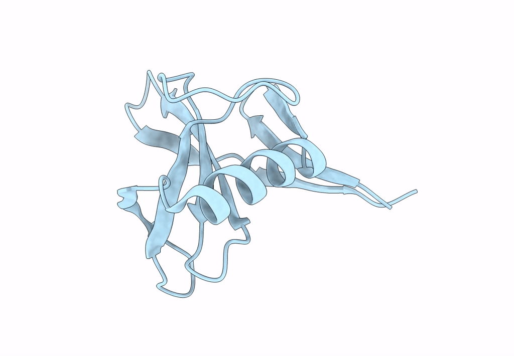 8OXK image