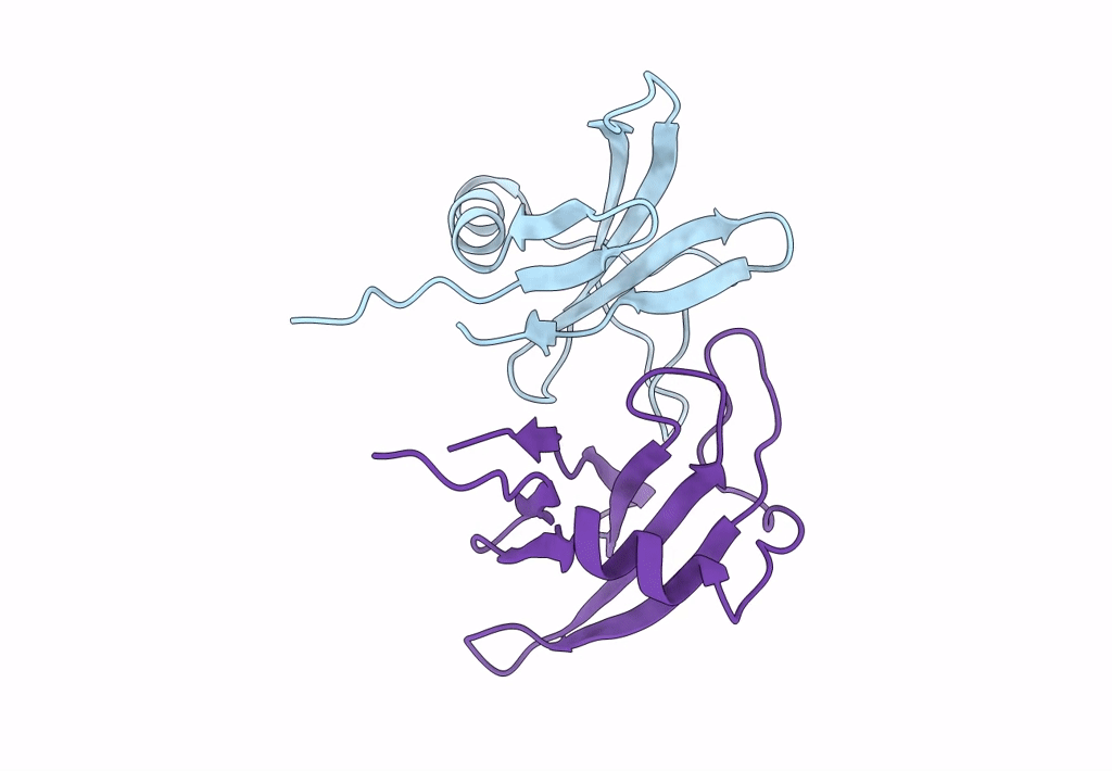 8OXL image