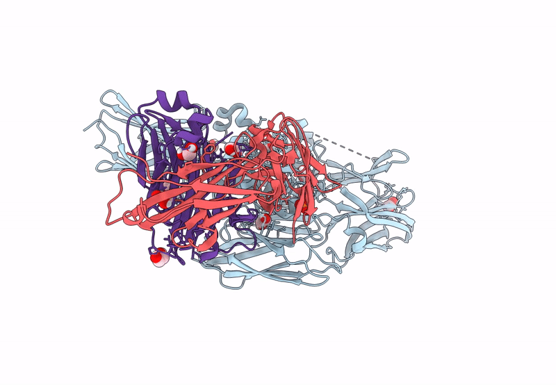 8OXY image