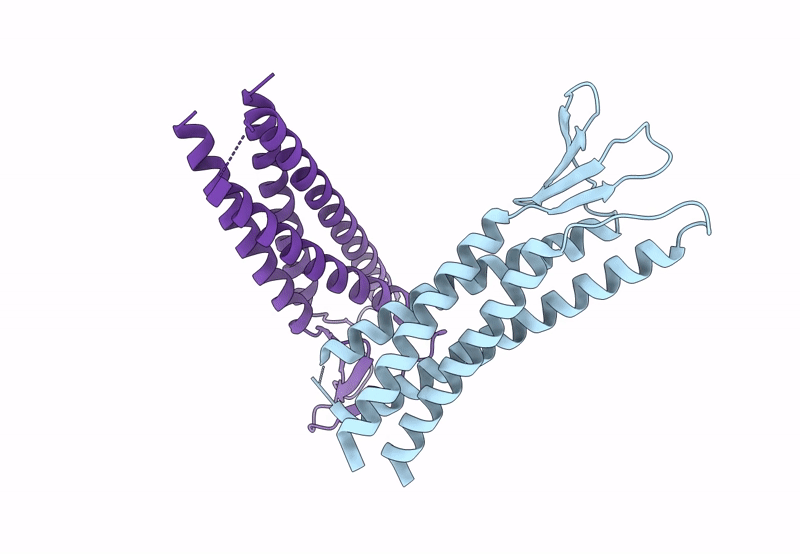 8OYV image