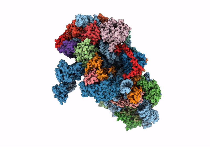 8P03 image