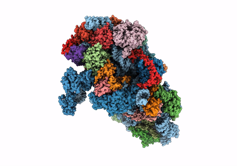 8P09 image