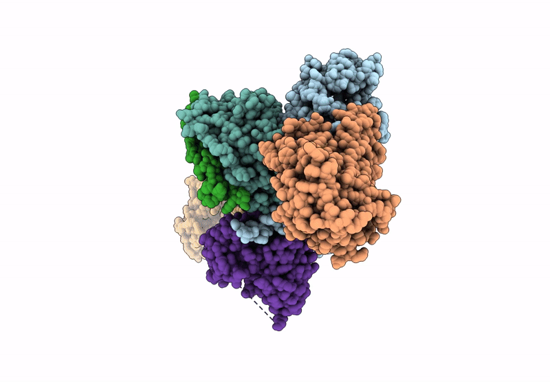 8P13 image