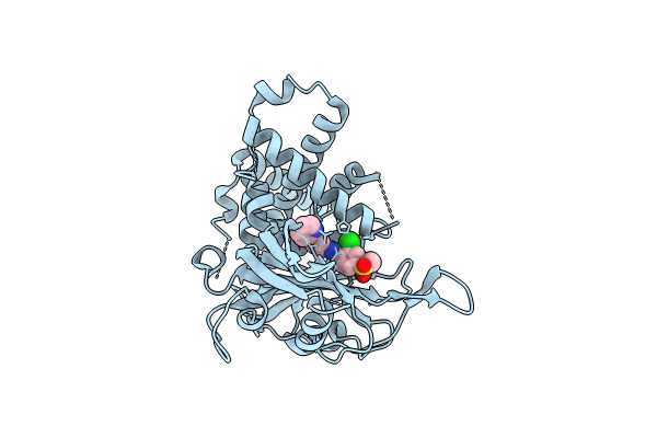 8P14 image