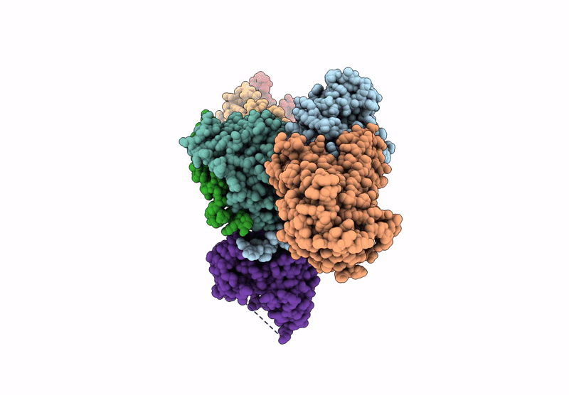 8P15 image