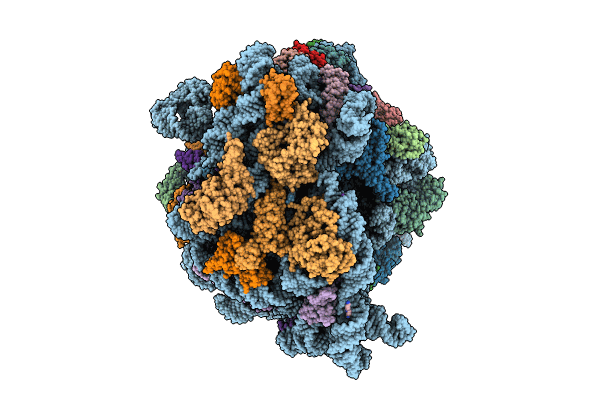 8P16 image
