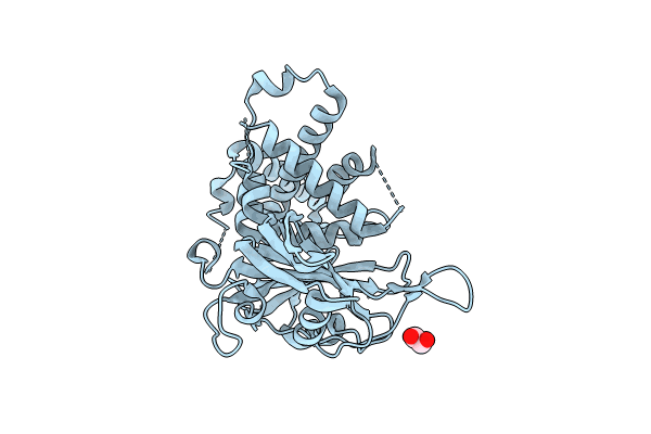 8P19 image