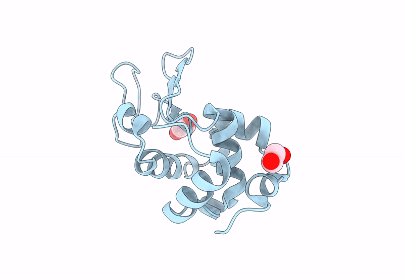 8P1A image