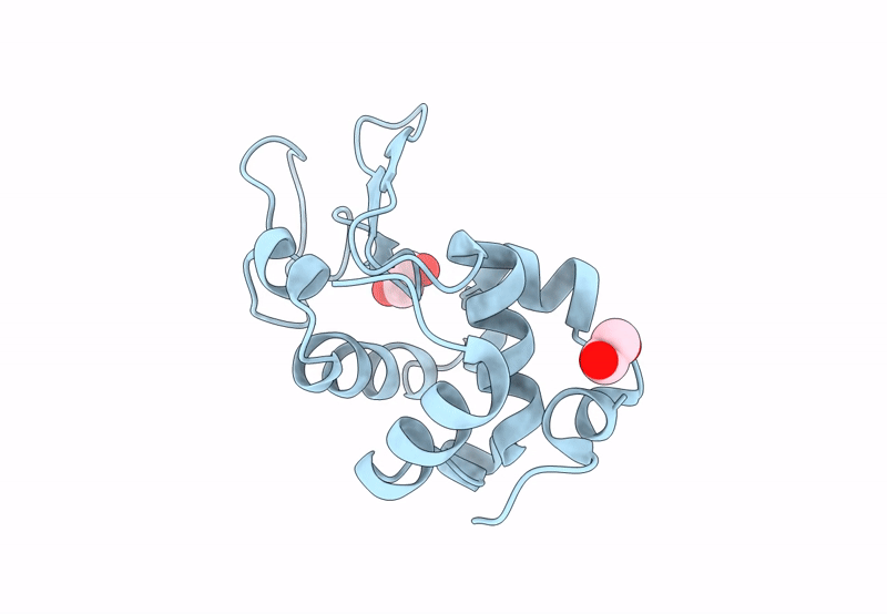 8P1B image