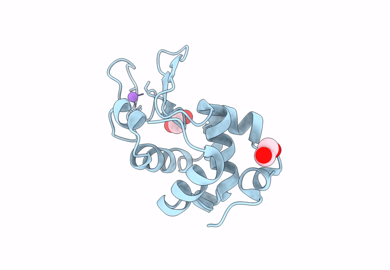 8P1D image
