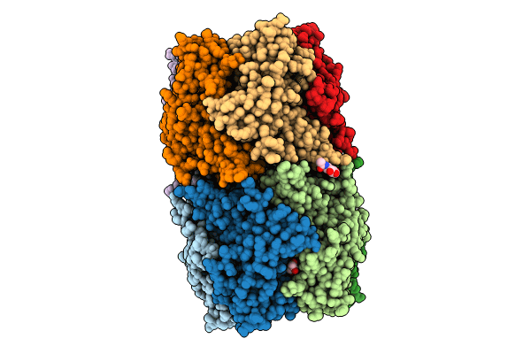 8P1E image