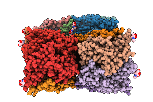 8P1F image