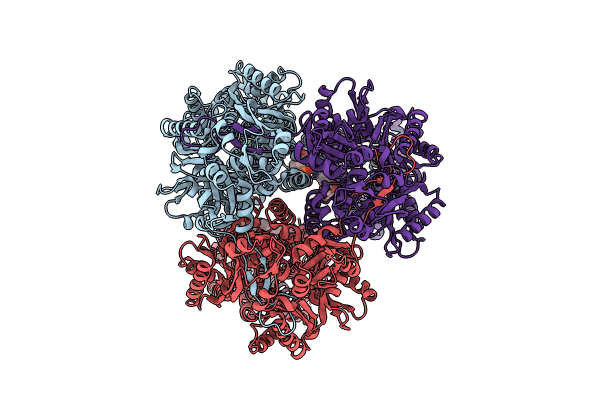 8P1I image