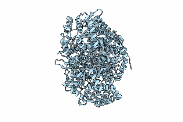 8P1J image