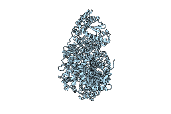 8P1K image