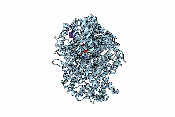 8P1M image
