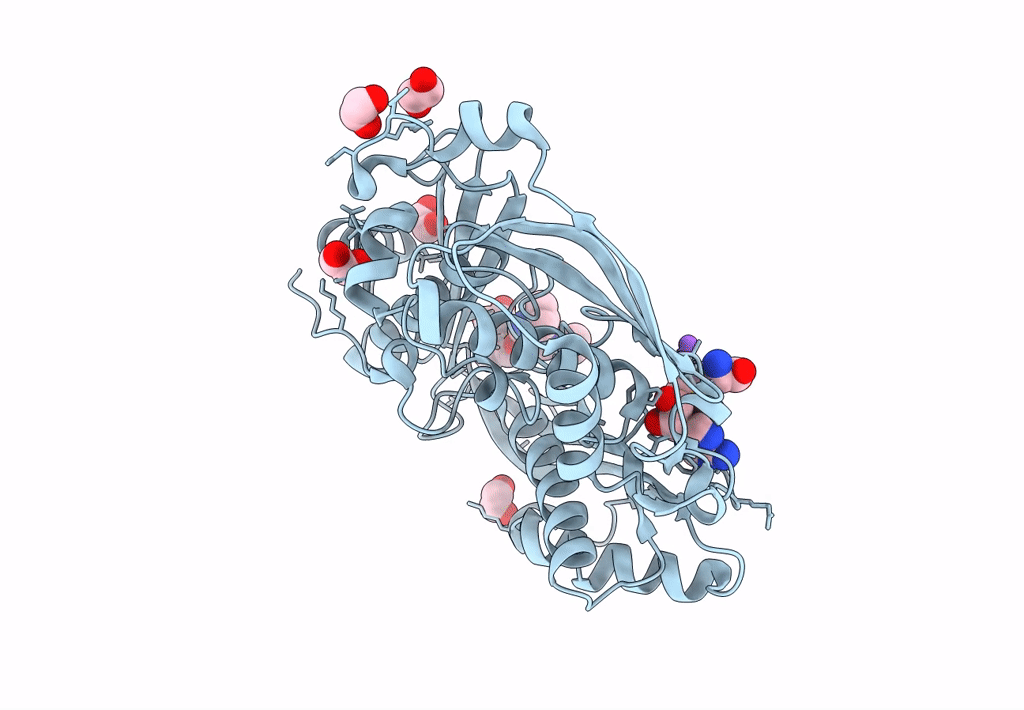 8P1T image