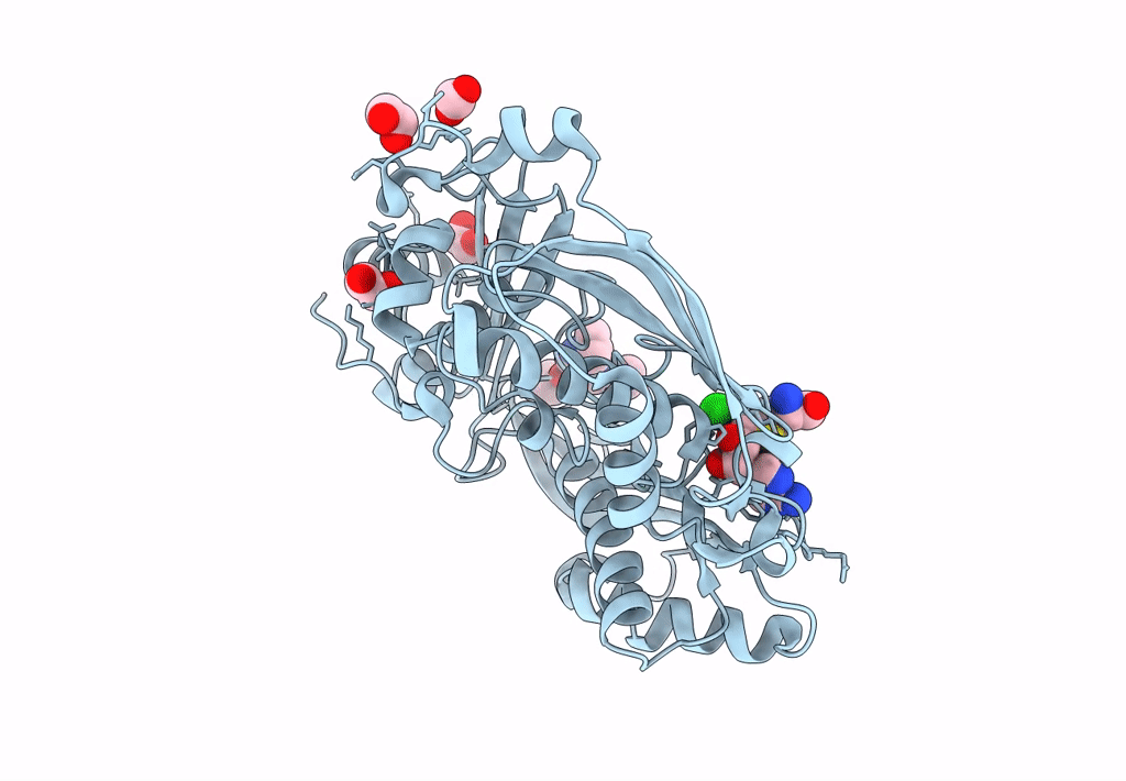 8P1V image