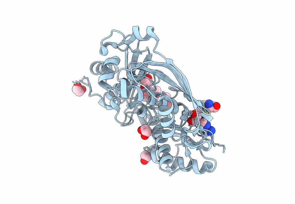 8P1W image