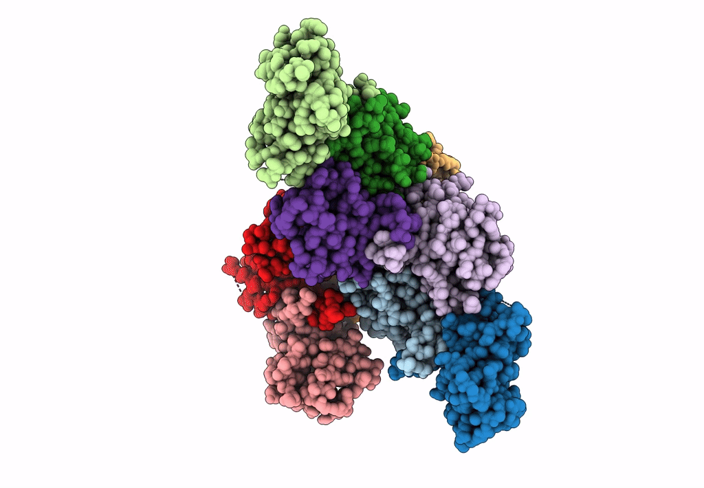 8P26 image