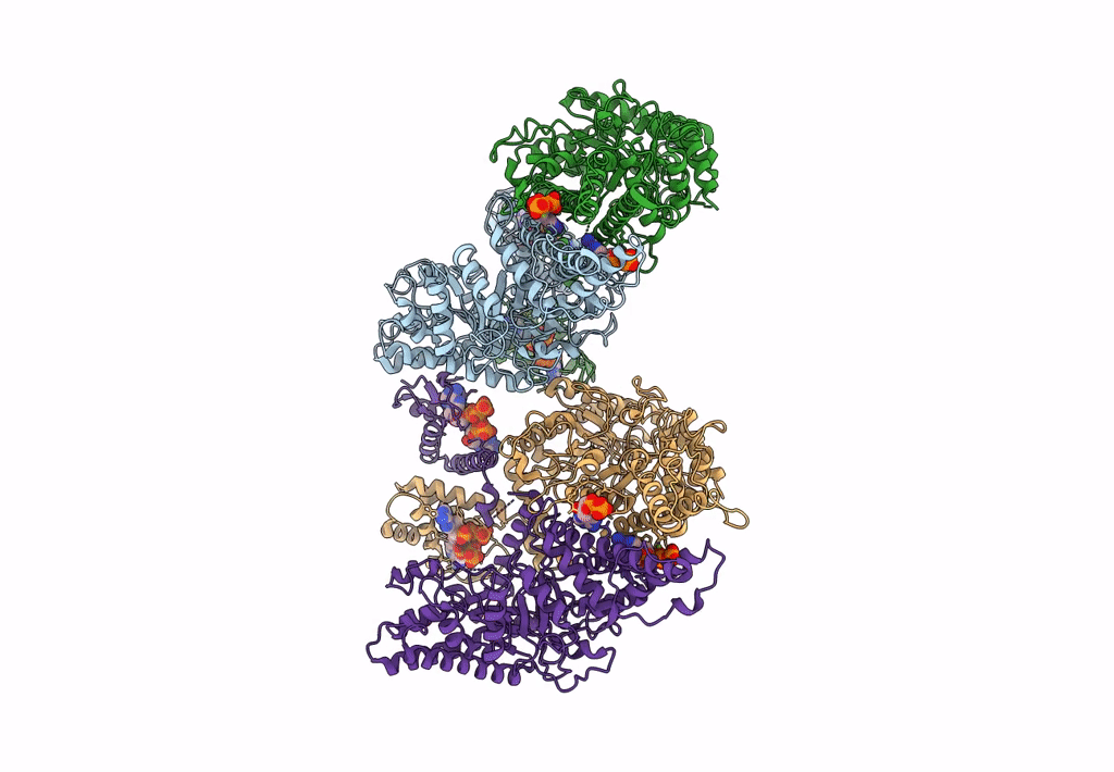 8P28 image