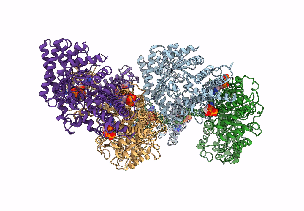 8P2C image