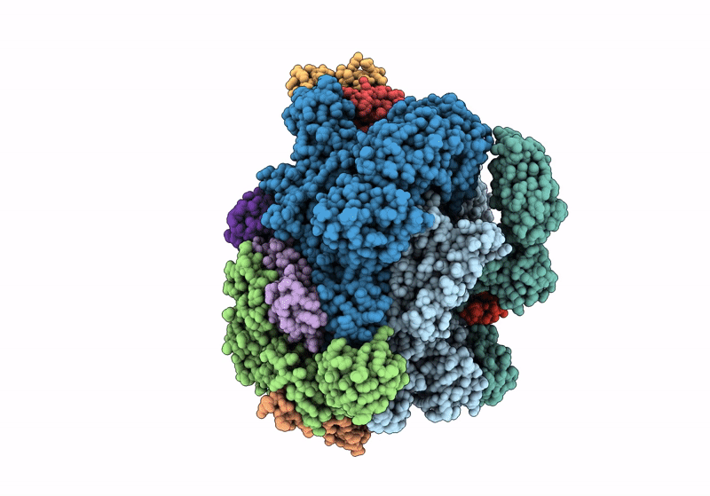 8P2I image