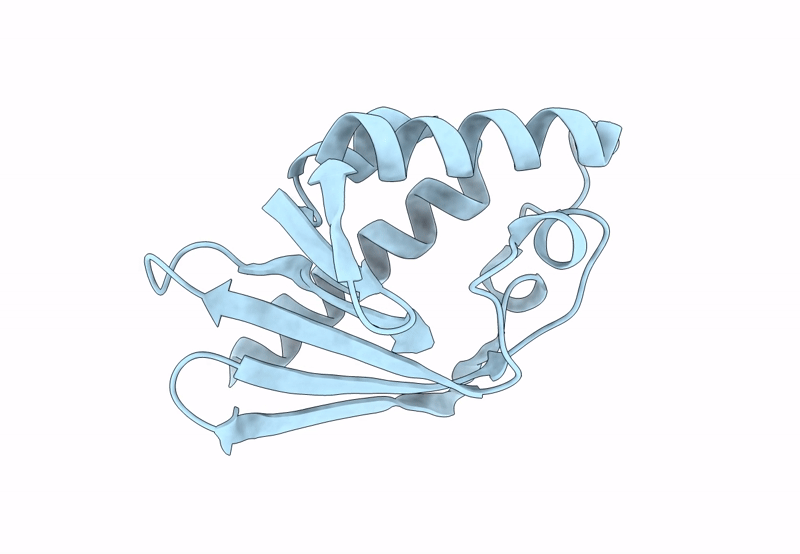 8P32 image