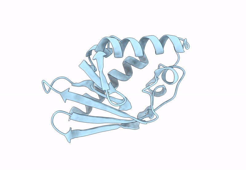 8P33 image