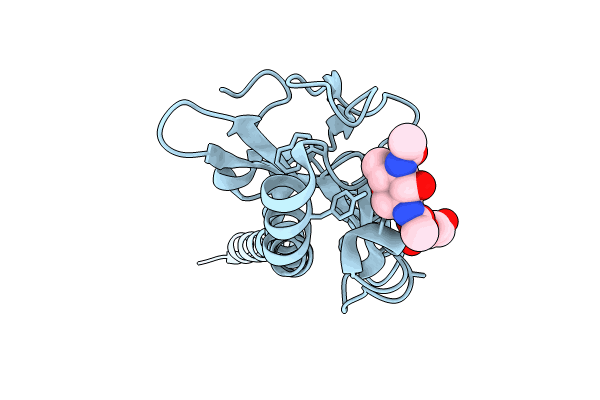 8P36 image