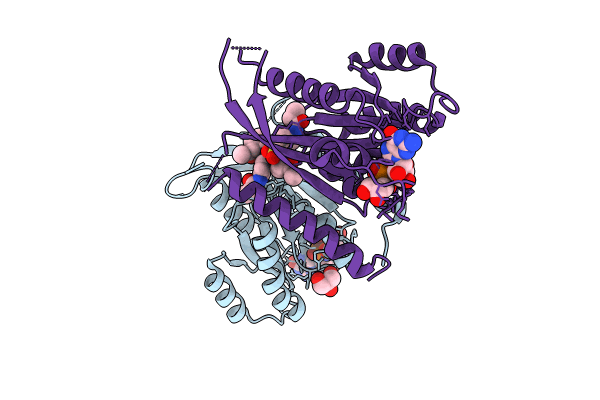 8P3H image