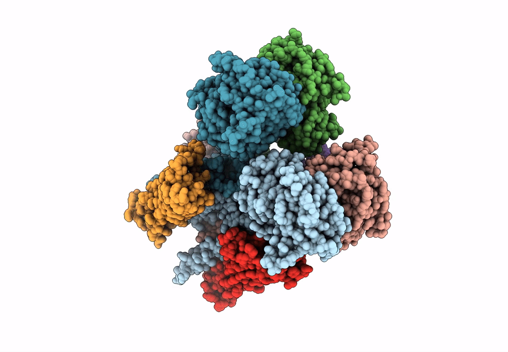 8P3X image