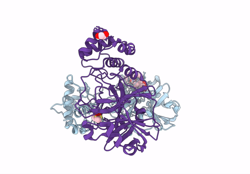 8P54 image