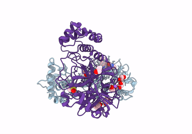 8P56 image
