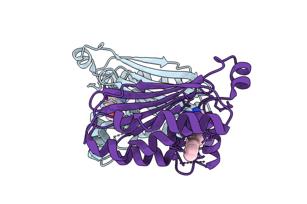 8P59 image