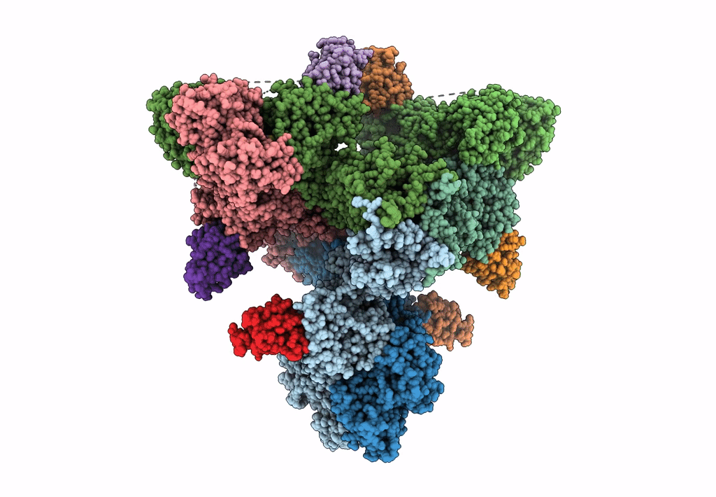 8P5X image
