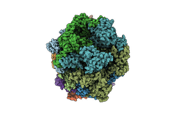8P63 image