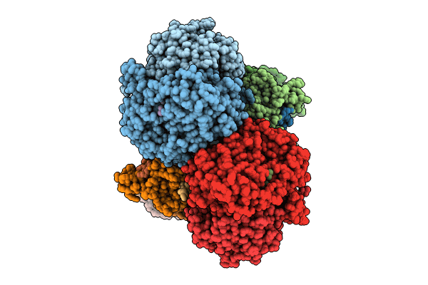 8P65 image