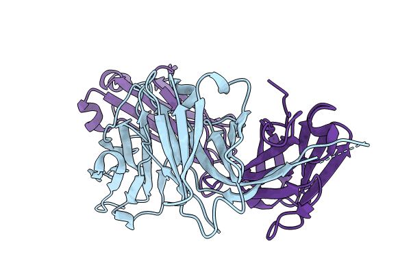 8P6H image