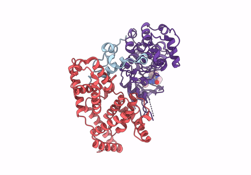 8P71 image