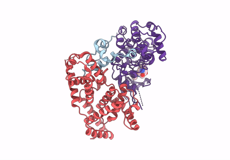 8P73 image