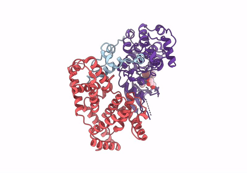 8P74 image