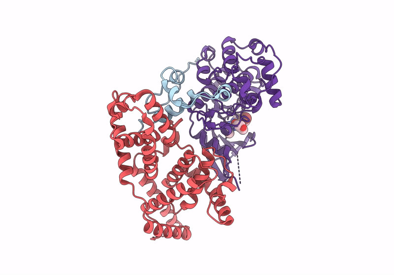 8P75 image
